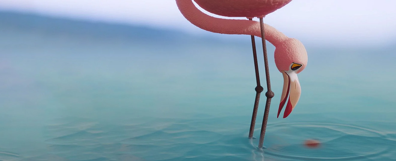 Flamingo standing in water