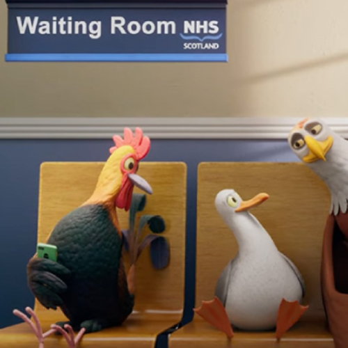Various birds sitting in a Waiting room